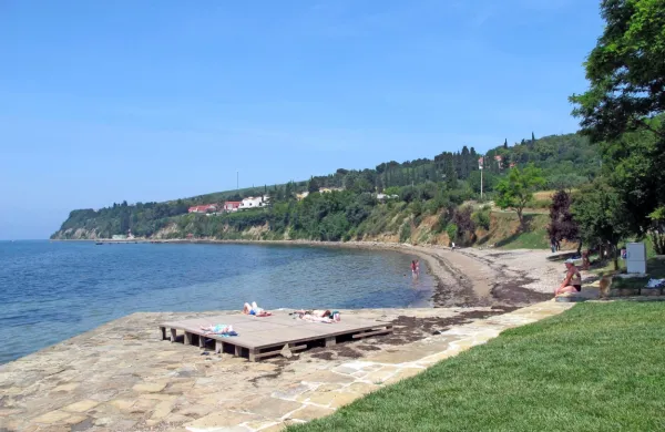 Poletnega avtobusa in turistične ladjice letos ne bo