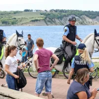 Med &scaron;tevilnimi sprehajalci tudi policista konjenika z lipicancema