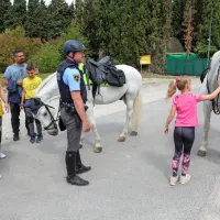 Med &scaron;tevilnimi sprehajalci tudi policista konjenika z lipicancema