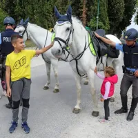 Med &scaron;tevilnimi sprehajalci tudi policista konjenika z lipicancema