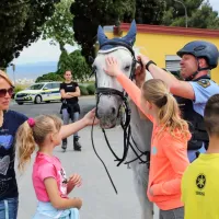 Med &scaron;tevilnimi sprehajalci tudi policista konjenika z lipicancema