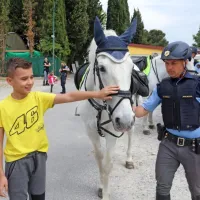 Med &scaron;tevilnimi sprehajalci tudi policista konjenika z lipicancema