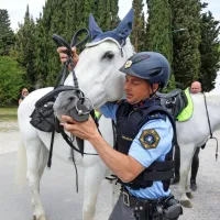 Med &scaron;tevilnimi sprehajalci tudi policista konjenika z lipicancema