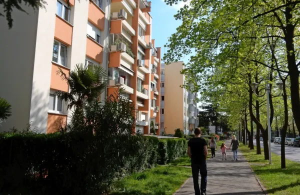 V Novi Gorici, kjer tigrasti komarji že leta grenijo  življenja 
meščanom, bodo začeli poskusno zatirati ličinke in bube. 