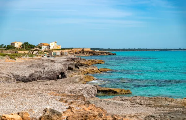 Turizem predstavlja na Kanarskih in Balearskih otokih približno  35 
odstotkov gospodarstva. 