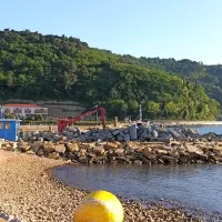 Obnavljajo nasipe