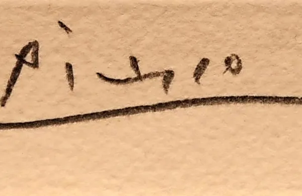 Italijanki na dobrodelnem žrebu milijon evrov vredna Picassova slika