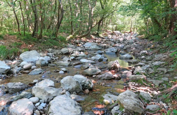 Do incidenta naj bi prišlo pred dnevi, ko se je Tržačan z začasnim 
bivališčem v Sloveniji v družbi dekleta sprehajal po gozdu na 
območju nad dolino Glinščice.