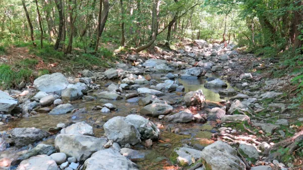 Do incidenta naj bi prišlo pred dnevi, ko se je Tržačan z začasnim 
bivališčem v Sloveniji v družbi dekleta sprehajal po gozdu na 
območju nad dolino Glinščice.