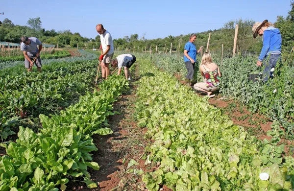 Kmetje, ki želijo uveljavljati neposredna plačila, lahko vlogo 
oddajo do 10. junija.