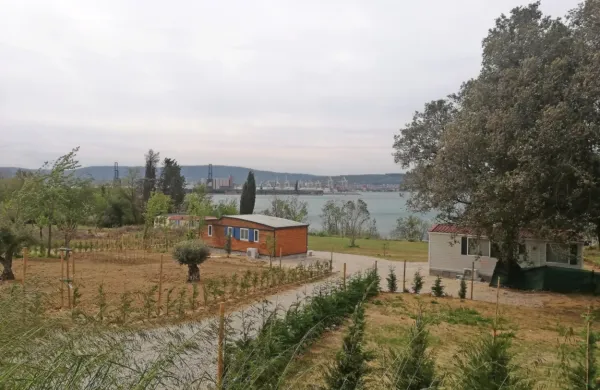 Rok Cvetkov je eden od lastnikov stavbnega zemljišča, ki so ga v 
predlogu občinskega prostorskega načrta spremenili v kmetijsko 
oziroma v zelene površine. 