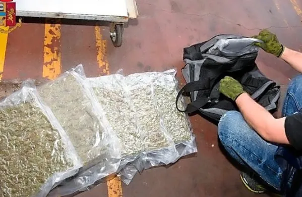 V tovornjaku in njegovi kabini so našli 16 plastičnih vrečk, v 
katerih je bilo skupaj  16 kilogramov in 200 gramov marihuane.