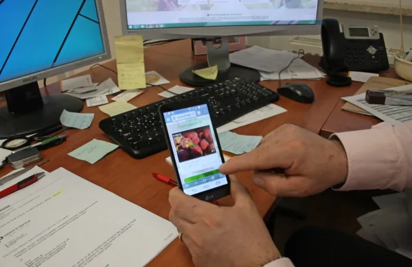 Ajdovci nameravajo skupaj z Novogoričani  nadgraditi virtualno 
tržnico, s katero bi povezali potrošnike in lokalne pridelovalce. 