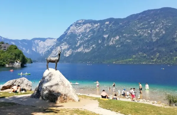 Kot pravi direktor Turizma Bohinj, je to dobra novica, ki je prišla ob 
pravem času.