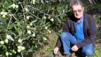 Angelo Hlaj (1940-2019) je kot navdušen oljkar uvajal številne novosti v slovensko oljkarstvo, med 
drugim je več let preučeval vpliv namakanja oljčnikov. 