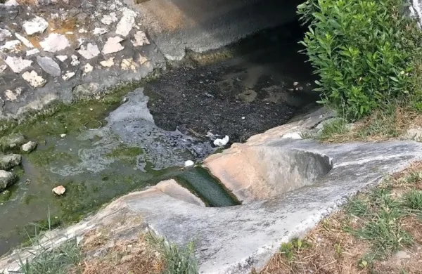 Zakaj se je meteorna voda obarvala?