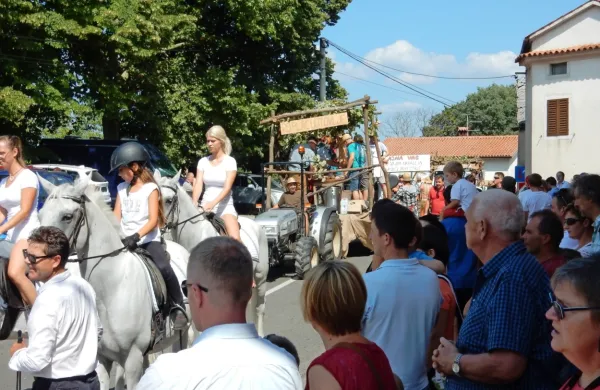 50. Praznik terana in pr&scaron;uta prestavljen na prihodnje leto
