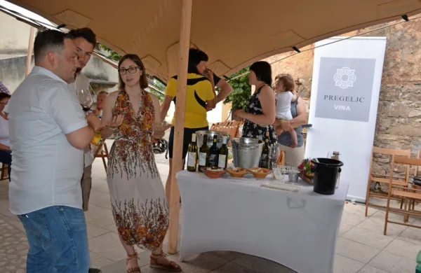Virtualni Slap Vino Festival