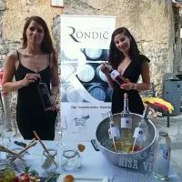 Virtualni Slap Vino Festival