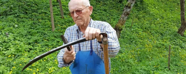 Fotografija Ivana Bevka pri brušenju kose je sicer nastala lani, a se 
je košnje lotil tudi v teh dneh, ko je vstopil v 101. leto starosti.