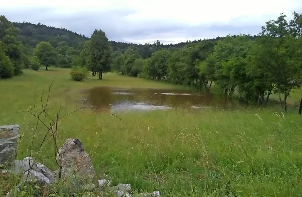 Obilne padavine poplavile Kras
