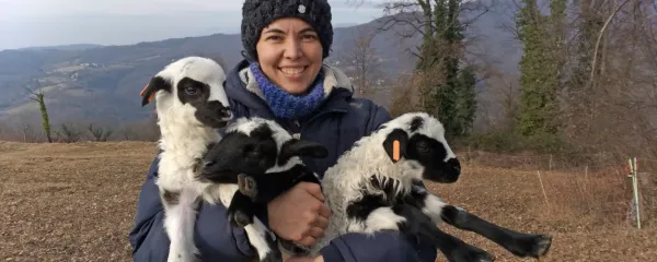 Družina Bric ima doma dva tropa ovac po 60 glav, ki so zaradi 
milega podnebja vse leto na paši.