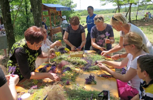 Pod okriljem članic Kulturnega etnološkega društva Venček 
Štanjel so obiskovalci ustvarjali venčke iz različnih rastlin, tudi iz 
sivke.