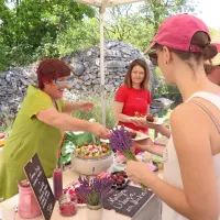 Mateja Ulaga je predstavila kar nekaj sladic iz sivke.