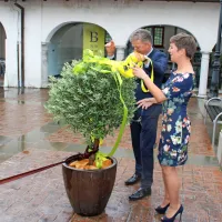 Grad spet utripa z o&scaron;tirjem in rebulami