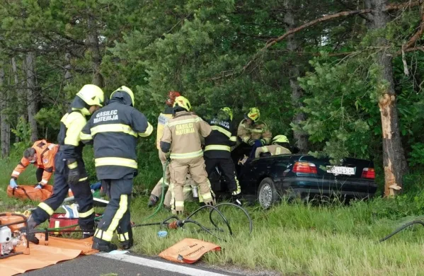 Beemvejev kabriolet je skoraj objel borovec in pristal ob njem na 
kolesih.