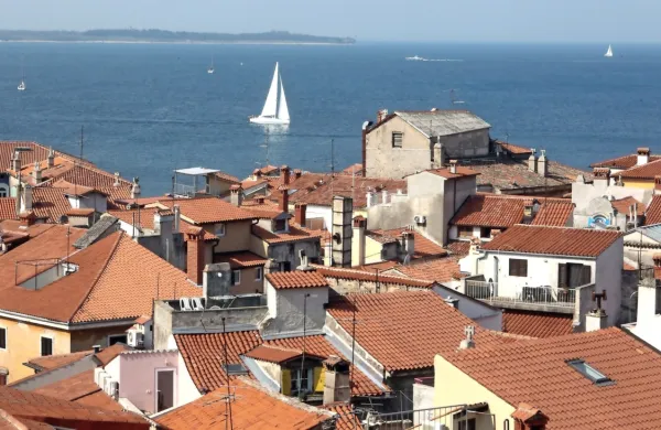 Vir novih okužb v Istri je obiskovalec iz Srbije, ki je prišel na zabavo.