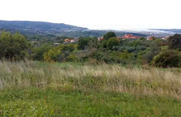 Naprodaj je sklop nepremičnin v neposredni bližini šole v 
Marezigah, ki se ponašajo s pogledom na Koprski zaliv, za katere 
bi občina lahko iztržila najmanj 238.295 evrov. (Foto vir: MOK)