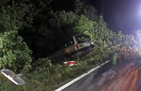 Pijan zapeljal s ceste in trčil v drevo