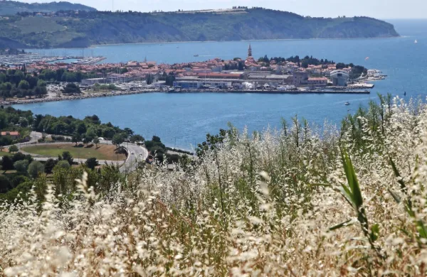 Izola praznuje