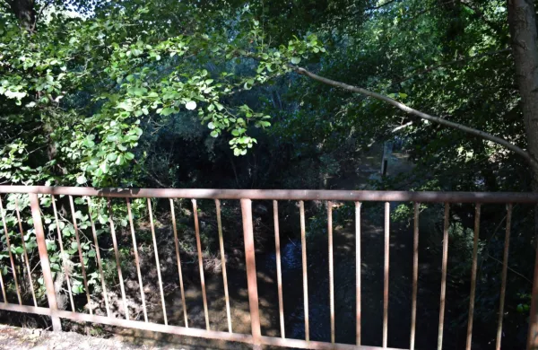 Občina podpira namero RD Ajdovščina po vzgoji  konzumne ribe, 
zato je namenila 96.000 evrov za obnovo nekdanje ribogojnice pri 
Novakovem mlinu. 