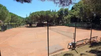 V sredo sredi dneva so teniška igrišča samevala, a zjutraj in pozno 
popoldne  je slika drugačna.  
