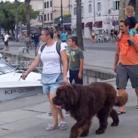 Živahen utrip je prekinila nevihta
