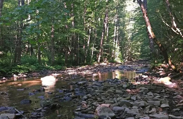 Domačini odločno nasprotujejo zajezitvi Padeža oziroma Suhorice.