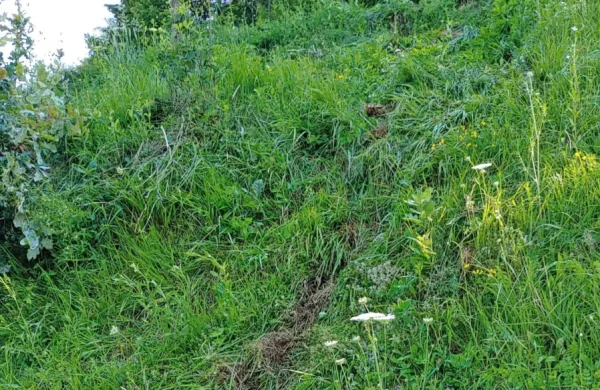 V nesreči s traktorjem se je huje po&scaron;kodoval