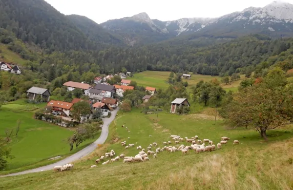Visokogorske vasi upajo na poseben status z ugodnostmi, ki bi 
omilile težavno  in dražje kmetovanje in življenje v visokogorju. 