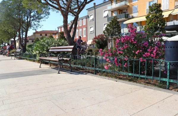 Ograjujejo zelenice na Sončnem nabrežju