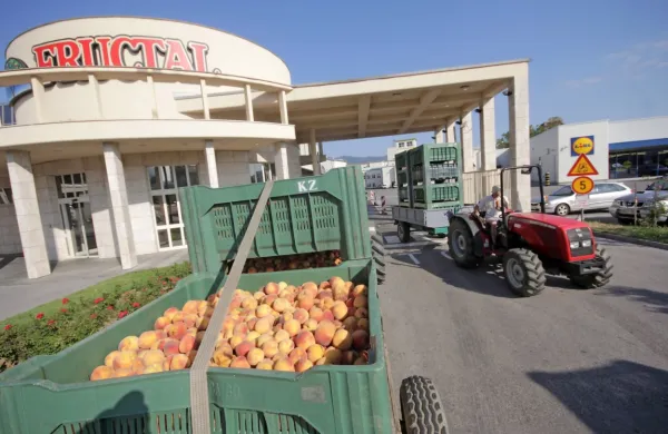 V prihodnjem letu v Fructalu načrtujejo še uvedbo slamic iz 
materiala rastlinskega izvora.