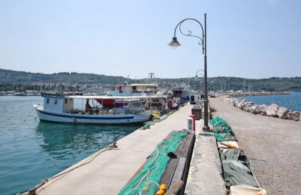 Ribiški pomol