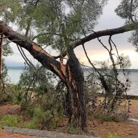 Portorož