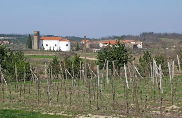 Delovna skupina si bo prizadevala za razvoj podeželja,  kmetijstva, 
lokalno pridelano in predvsem zdravo prehrano.