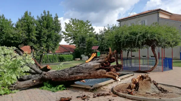 Na igrišču izolskega vrtca, enote Školjka v Ul. oktobrske revolucije, 
je odlomilo kostanj. Sreča v nesreči je bila, da na igrišču takrat ni 
bilo več otrok.       