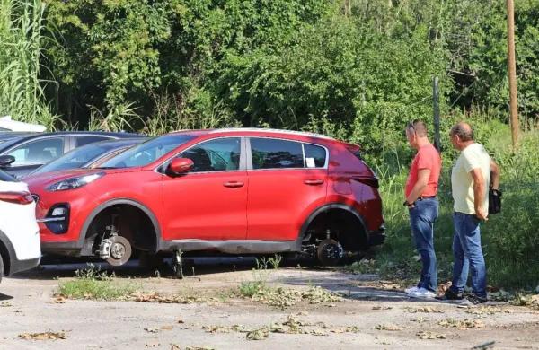 Tatovi so se lotili avtomobilov avtosalona Jereb. Foto: Tomaž 
Primožič/FPA