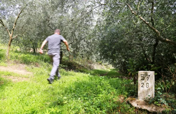 Zelena meja  nad Novo Gorico

