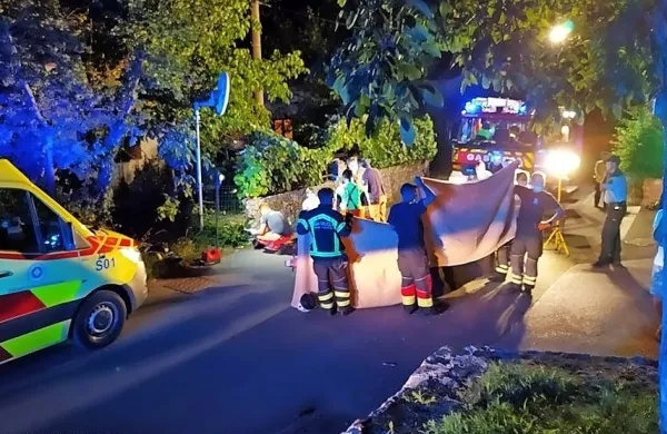Motorist se je pri vožnji skozi križišče zaletel v obcestni zid in 
podlegel poškodbam.
