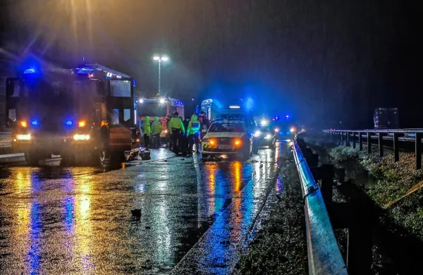 Poškodbe, ki so jih utrpeli v novembrski nesreči na avtocesti med 
Brezovico in Vrhniko, so bile usodne za tri mlade Sirce.